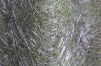 Corsley fibreglass roof work